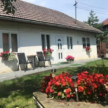 Casuta Sanatatii-2